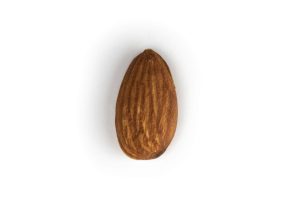 Árbol almendro: Butte.