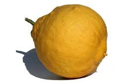 Árbol limonero: Ponderosa.