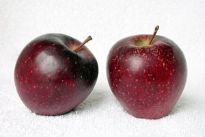 Árbol manzano: Red Delicious.