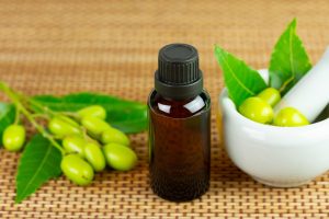 El aceite de neem es una gran alternativa para el control orgánico para pulgones y ácaros.