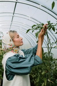 Ventajas del cultivo orgánico.