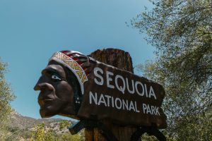 Sequoia National Park es el parque nacional ubicado en California EEUU el cual posee el ejemplar del árbol más grande del mundo.