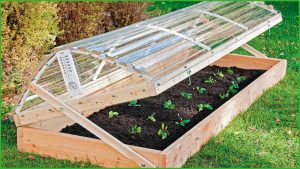 Control de clima en invernadero pequeño.