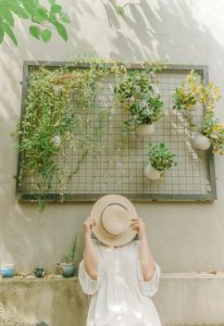 Mur vegetal prefabricado, una alternativa de la jardinería vertical.