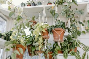 Jardín colgante como una opción a la jardinería vertical.