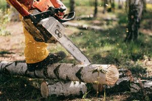 Stihl es una marca de confianza cuando se trata de optar por elegir maquinaria de jardinería adecuada para el cuidado de tu jardín.