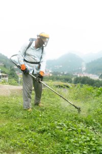 Dentro de nuestras herramientas de maquinaria de jardinería es necesario contar con las adecuadas que nos permitan cortar malezas y malas hierbas un poco mas dificultosas.