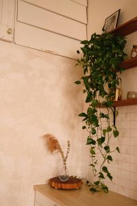 Elección del estilo adecuado de plantas de interior que armonice con el entorno de las habitaciones.