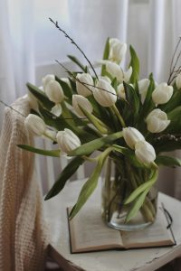 Gran variedad en tipos de plantas de interior para diferentes necesidades.