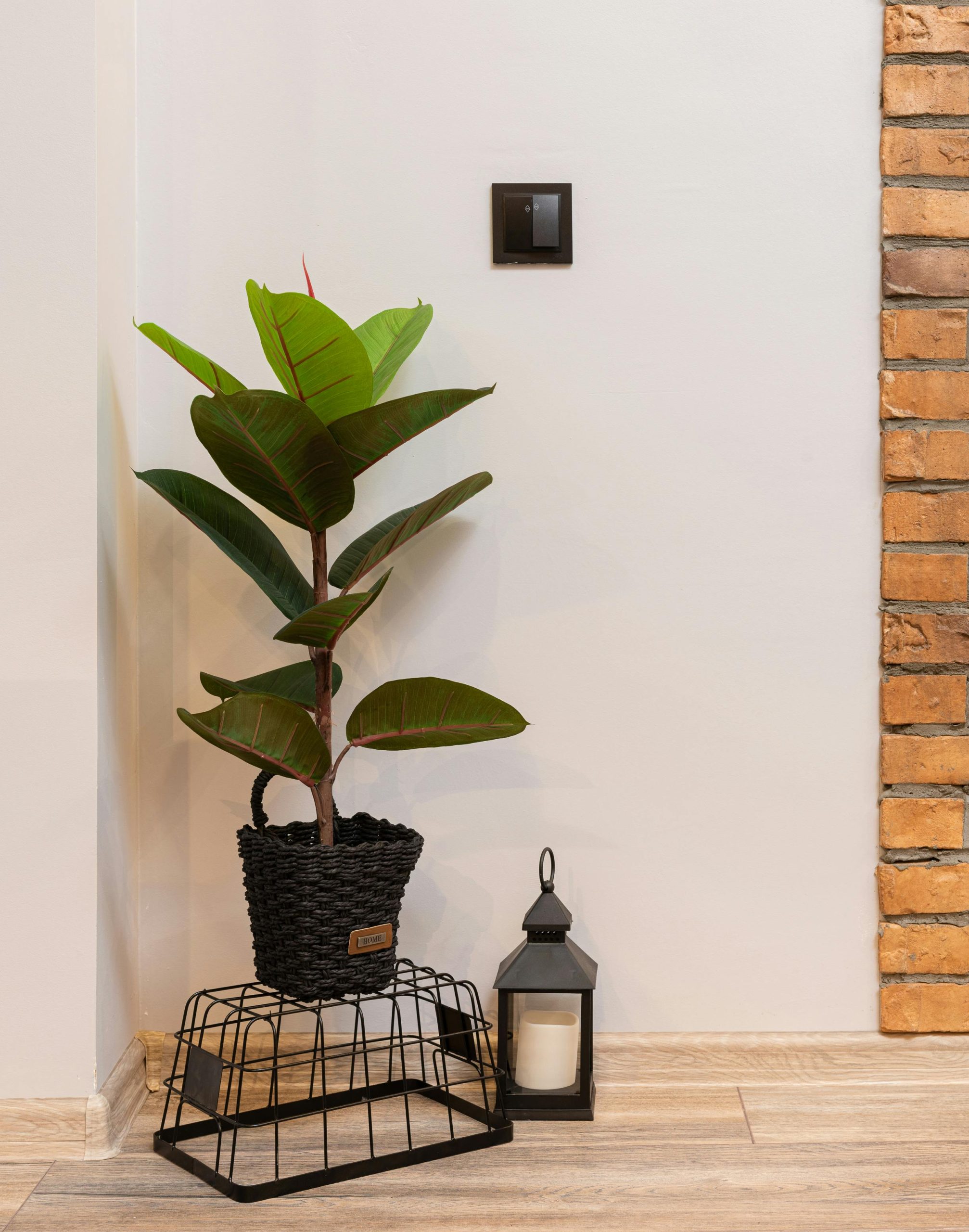 18+ Plantas De Interior Poca Luz Plantas de interior de poca luz: Consejos y recomendaciones