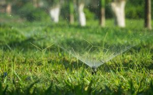 Sistema de riego para jardín domestico.