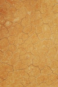 Tipo de tierra vegetal suelo arcilloso.