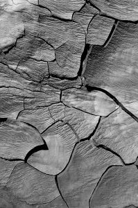 Tipo de tierra vegetal suelo calcáreo.